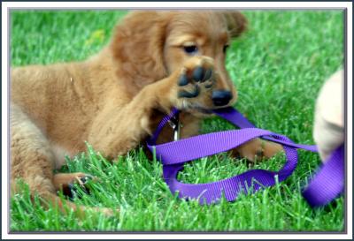 Sammy 060804_1