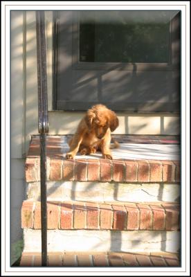 Sammy_stairs