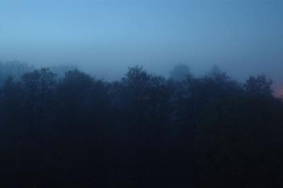 Fog at 2 AM