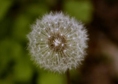 u46/hunterxp/medium/29655590.DSC_1677a.jpg