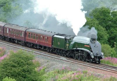 Gresley A4 Pacific, 60009 Union of South Africa on the Settle & Carlisle line.jpg