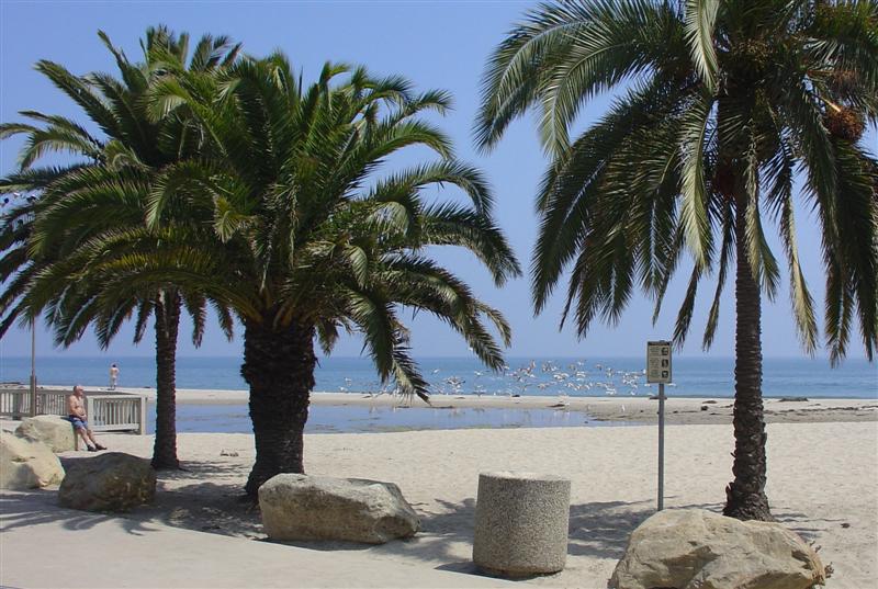 DSC01865 - Beach scene at Santa Barbara