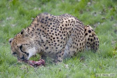 IMG_2415.jpg