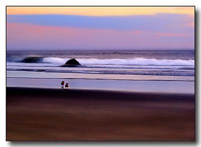 Birds watching the sunset at Cannon Beach