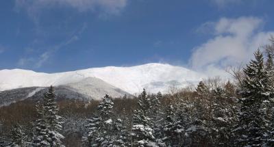 pMt Washington and trees.jpg