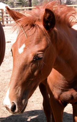 Love that red hair!