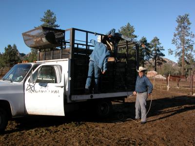 Horse Adventures at El Topo in September 2004