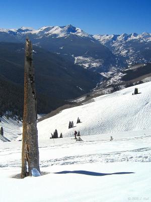 Vail Bowls