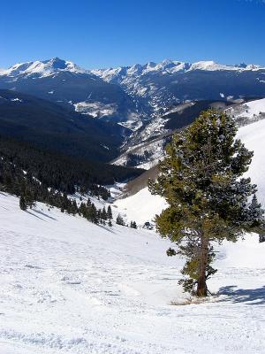 img_2503_std.jpg