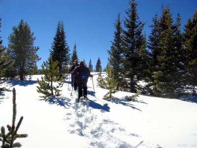 img_2522_std.jpg