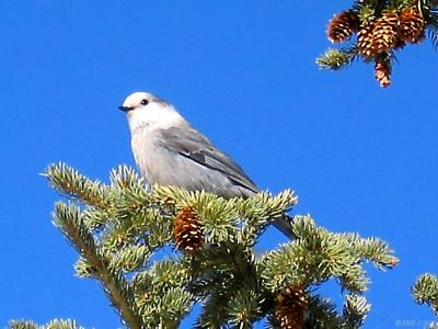 img_2526_std.jpg