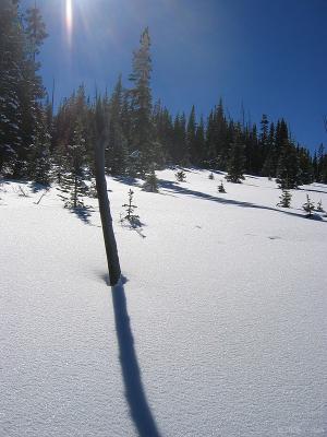 img_2527_std.jpg