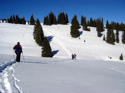 img_2532_std.jpg