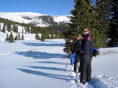img_2537_std.jpg