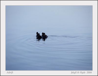 Adrift