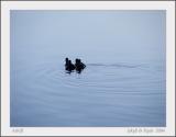 Adrift