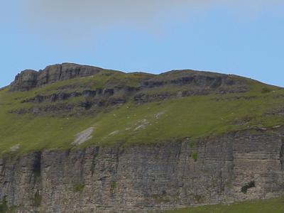 Sheep on Benbulben