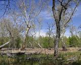 IMG_3249a.jpg