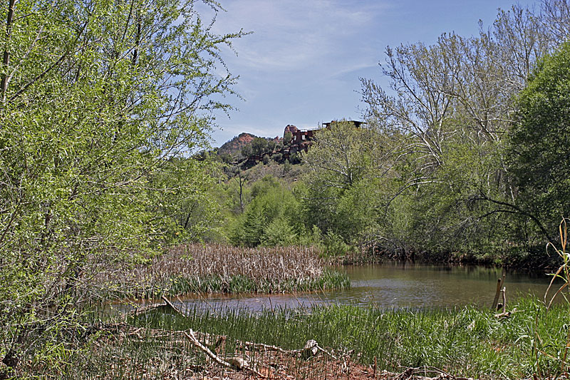 IMG_3250a.jpg