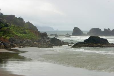 CRW_8435rz.jpg