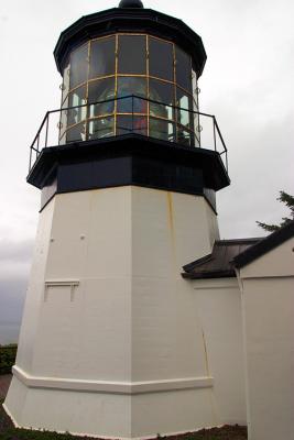CRW_8467rz.jpg