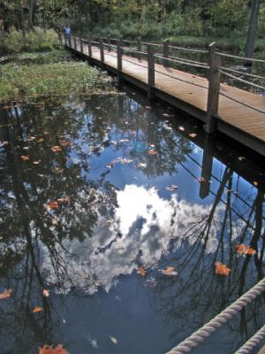 walk bridge reflections