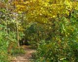 pathway