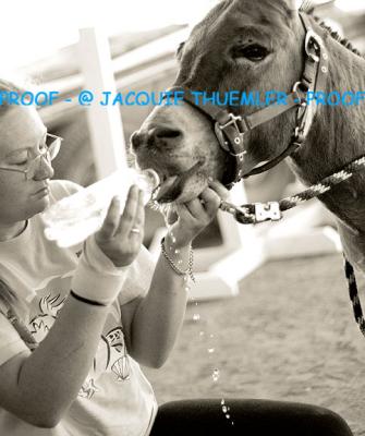 u46/jjacquie11/medium/33909757.2292proof.jpg