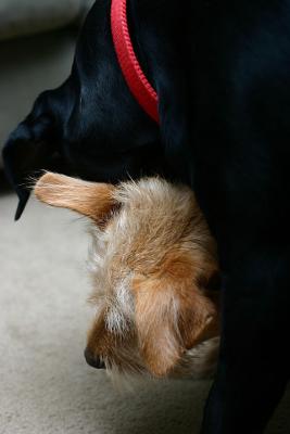 Get off me Dude!