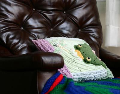 Mommy's frog pillow