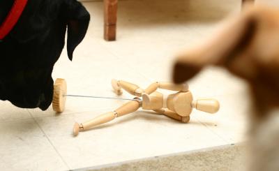 Hey a little wooden man...Look Brody!!