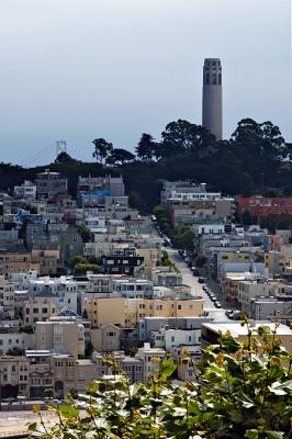 View of Coit Tower from Lombard Street