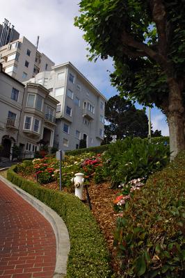 Looking up Lombard Street