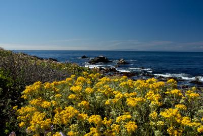 17 Mile Drive (Pebble Beach)