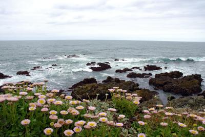 Coastal View Near Point Montera Lighthouse