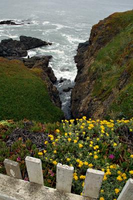 Cliffside View, Pigeon Point Lighthouse