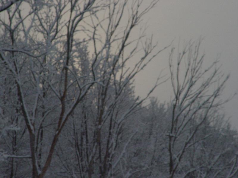 Old School Snow Picture