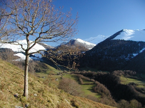 Plateau de Castet