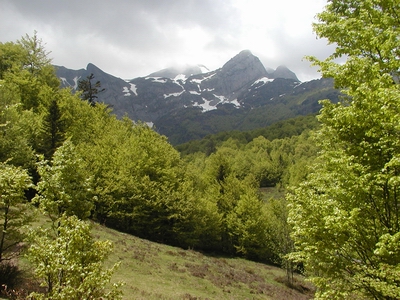 Brumes sur le Montagnon