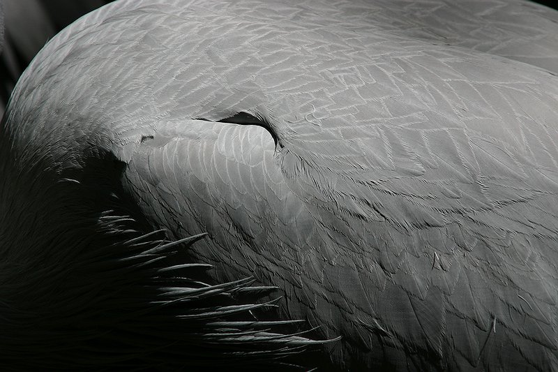 Grou 3