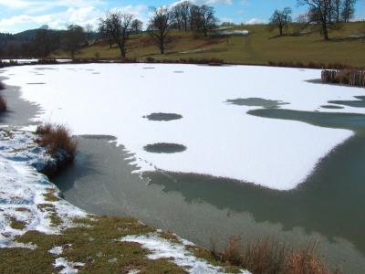 Eastnor Castle Estate.