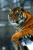 Zoo 05.jpg
