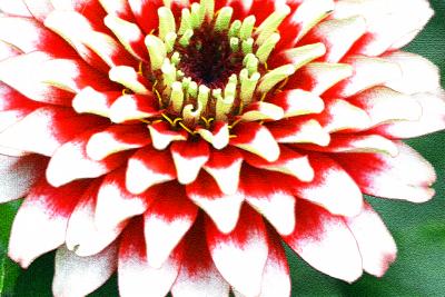 IMG_5967--------fountainous flower with craquelure filter.jpg