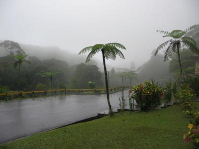 Mt Kinabalu National Park