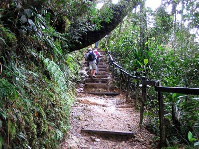 Mt Kinabalu climb
