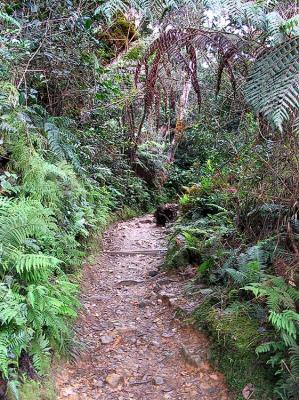 Mt Kinabalu climb