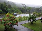 Mt Kinabalu National Park