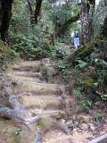 Mt Kinabalu climb