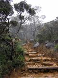 Mt Kinabalu climb