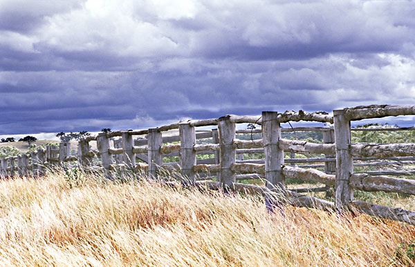 Long yard